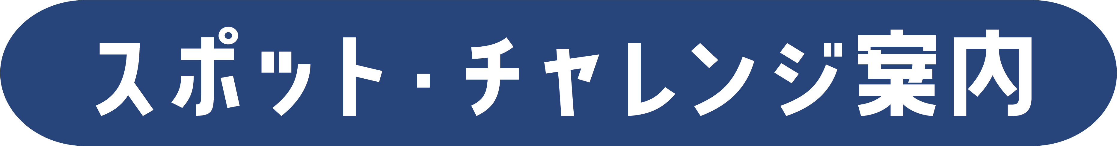 スポット・チャレンジ案内